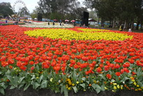 11Oct05-Floriade