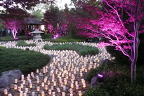 13Oct26-Canberra_Nara_Candle_Festival