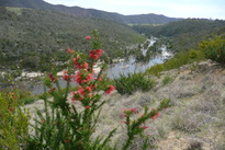 13Sep30-CanBap_Murrumbidgee_River_Walk