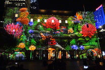 15May28-Vivid Sydney