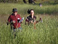 20Nov18-Orienteering on Mt Majura