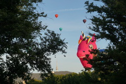 21Mar07-Canberra Balloon Spectacular