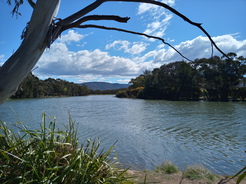 21Sep25-Stranger Pond Murrumbidgee