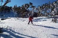 Lawrie skiing at Mt Baw Baw