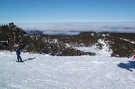 Robyn admiring the View from Mt Baw Baw Summit